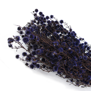 상품 섬네일 상품 섬네일