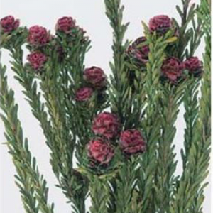 상품 섬네일 상품 섬네일