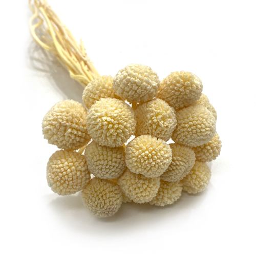 상품 섬네일 상품 섬네일